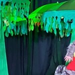 ChapeuzinhoVermelhoSPAC-2016-08-20 (14)